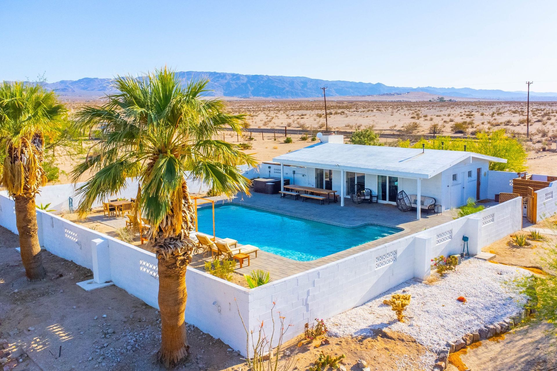 Wonder Valley Ranch pool with palm and Joshua Tree mountain backdrop